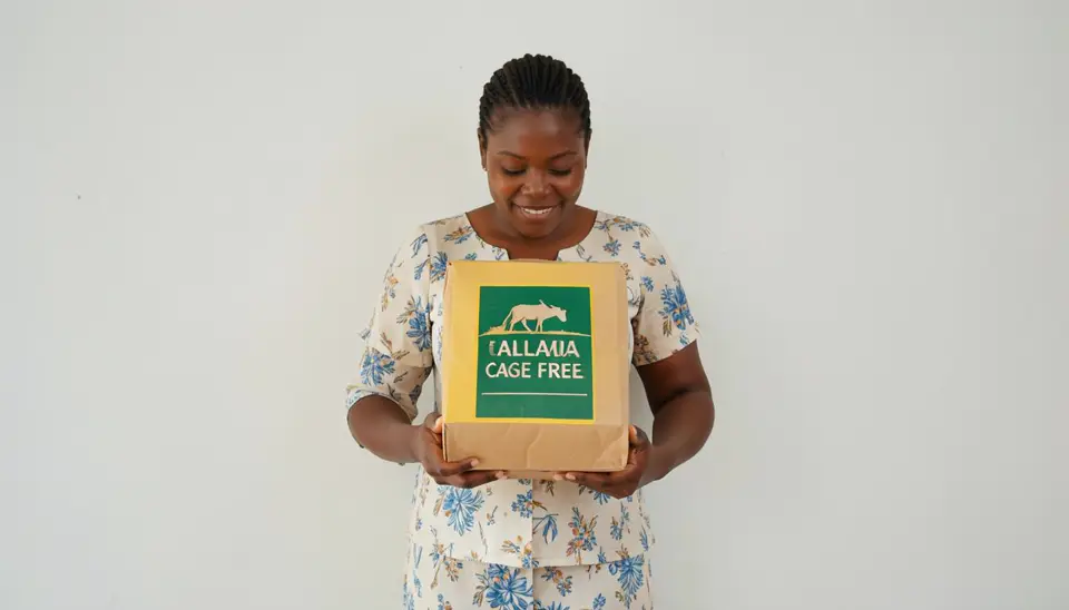Mfanyakazi akichukua sanduku la mayai lenye alama ya cage-free, ikionyesha chaguo la kuepuka mabanda ya betri.