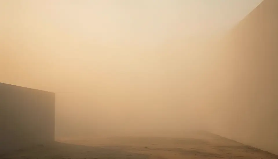 মেগাসিটিতে উভচর প্রাণী বিলুপ্তির সংকট
